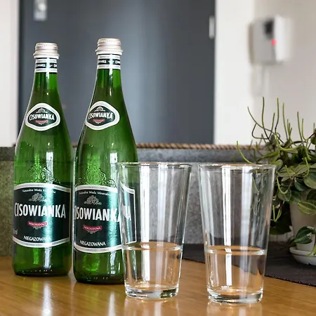 Pixelhome Przy Krolewskim Trakcie Appartement